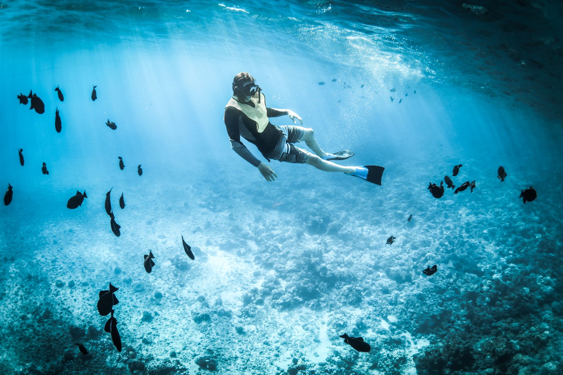 3-Island Speedboat Tour: Pigs, Turtles & Snorkeling